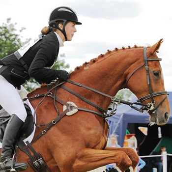 Chatcombe Saddlery slideshow